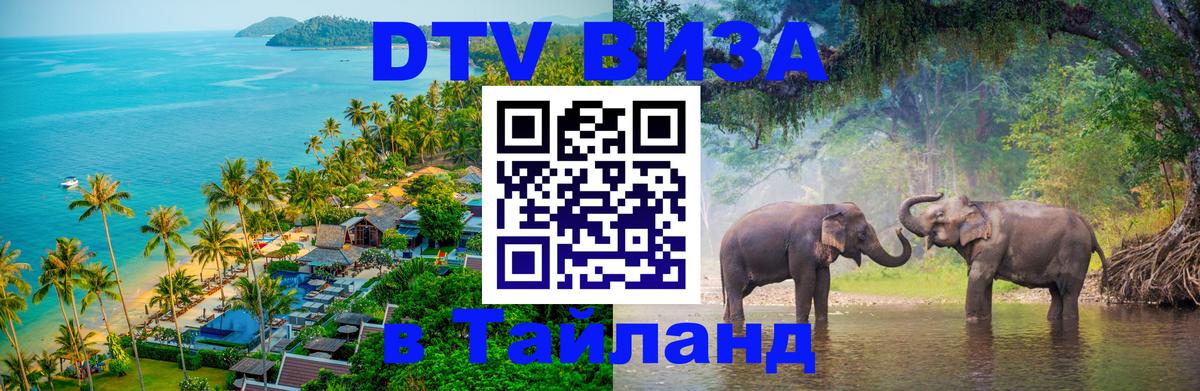 Электронная виза DTV в Тайланд Реутов 